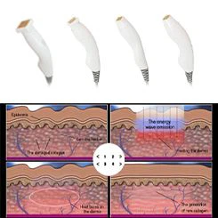 image006001 image006001